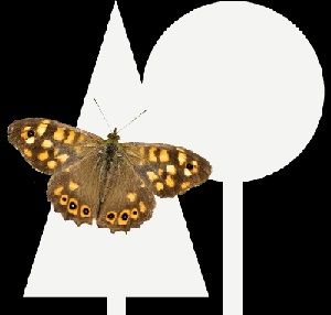De insecten van de Pannenhoef