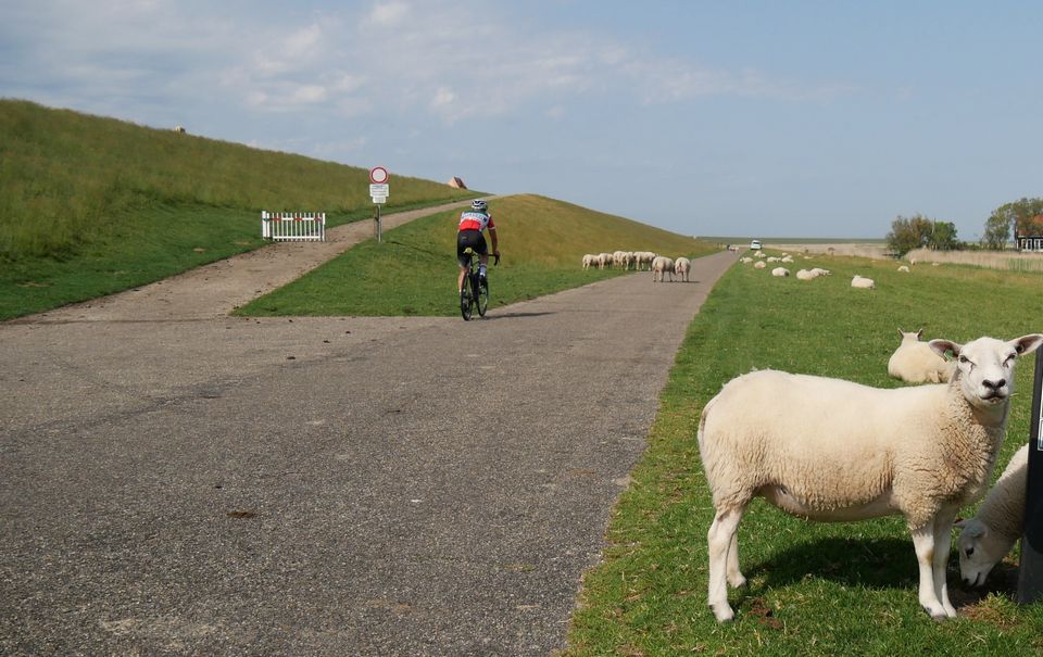 Jabikspaad | Fietsrondje Noardwest Fryslân
