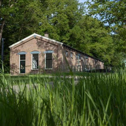 De Tramloods in Frederiksoord