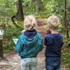 Dassenpad Elfbergenbos Gaasterland - Mar en Klif