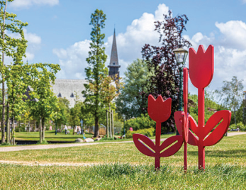 Het park met een beeld van rode tulpen