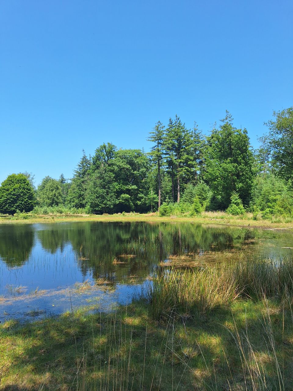 Rondje Drents-Friese Wold