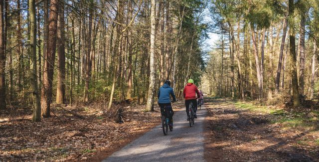 Fietsen door de bossen