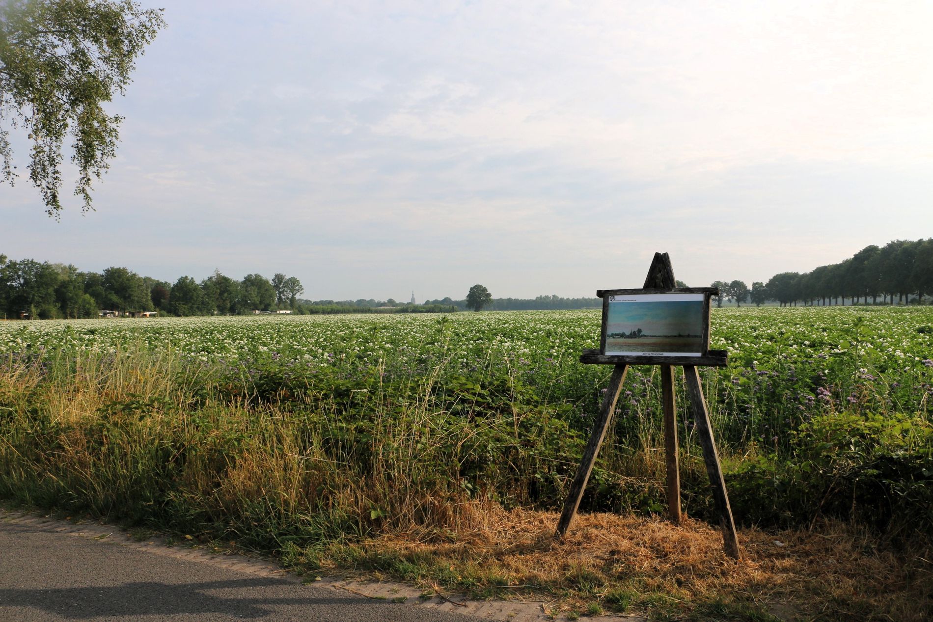 Zicht op Hilvarenbeek