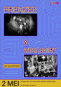 Mini Skirt & Frenzee