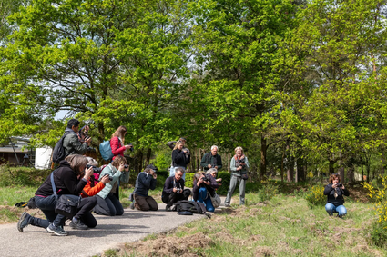 Mensen in de natuur met camera tijdens workshop
