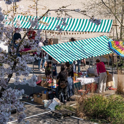 Steekmarkt Oliemolenhof