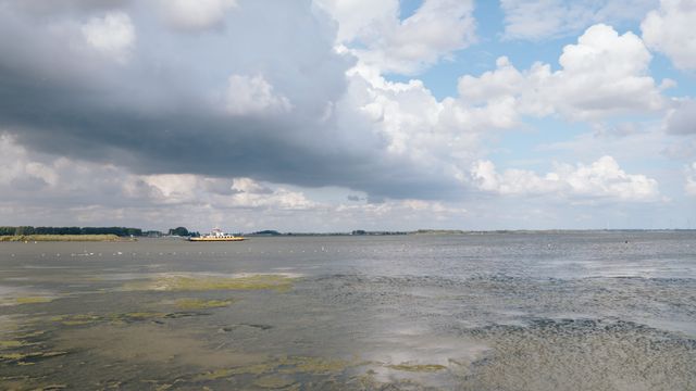 Uitzicht over het water bij strand Hellegat de Banaan