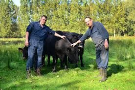 Bos en Akker rundvleeshouderij