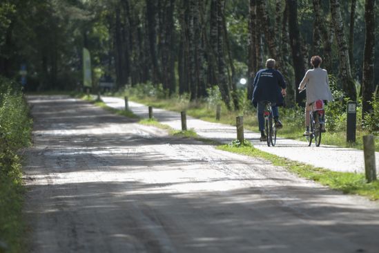 Vakantieoord Het Lorkenbos