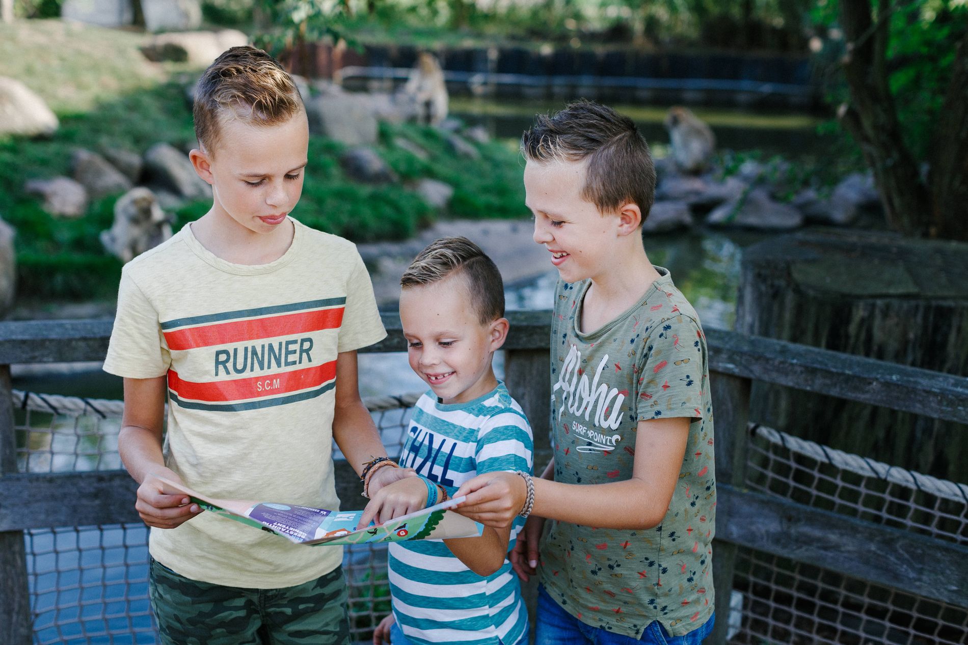 Kinderen in Eindhoven Zoo in Mierlo
