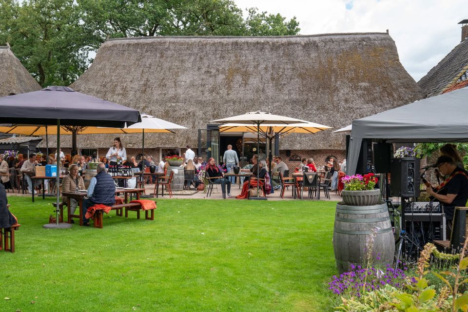 Picknick groep mensen
