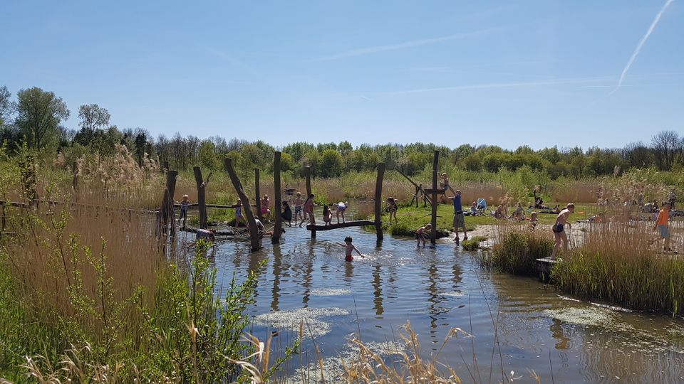Belevenissenbos