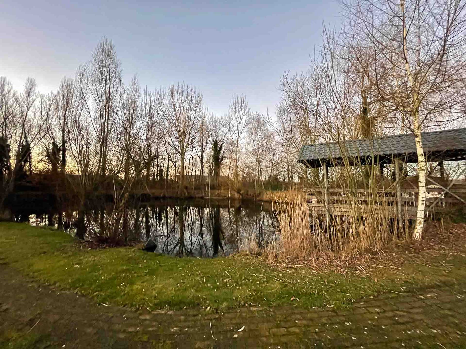 Visvijver op de minicamping