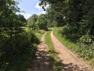 Natuur nabij 'De Winsel'