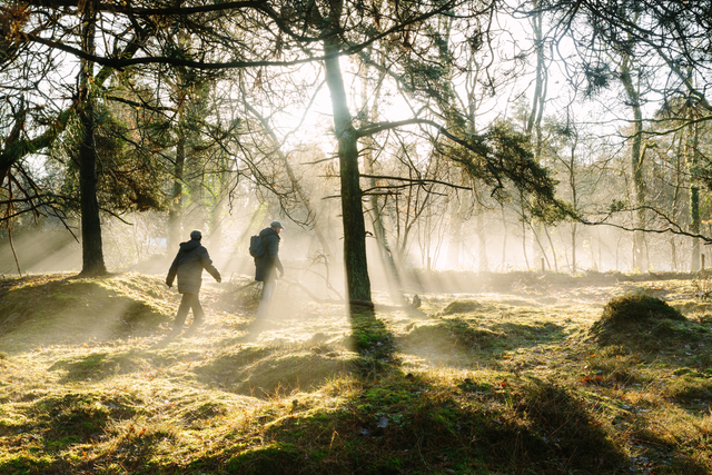 Zwei Personen laufen im Morgennebel durch einen Wald in Drenthe. Es ist kalt, sie tragen einen Hut und Handschuhe.