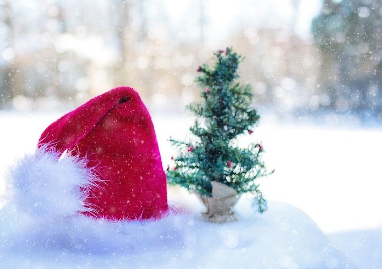 Kerstmuts met boompje en sneeuw