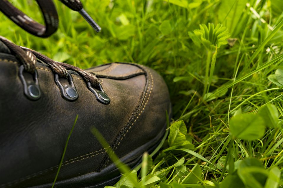 paar wandelschoenen in het gras