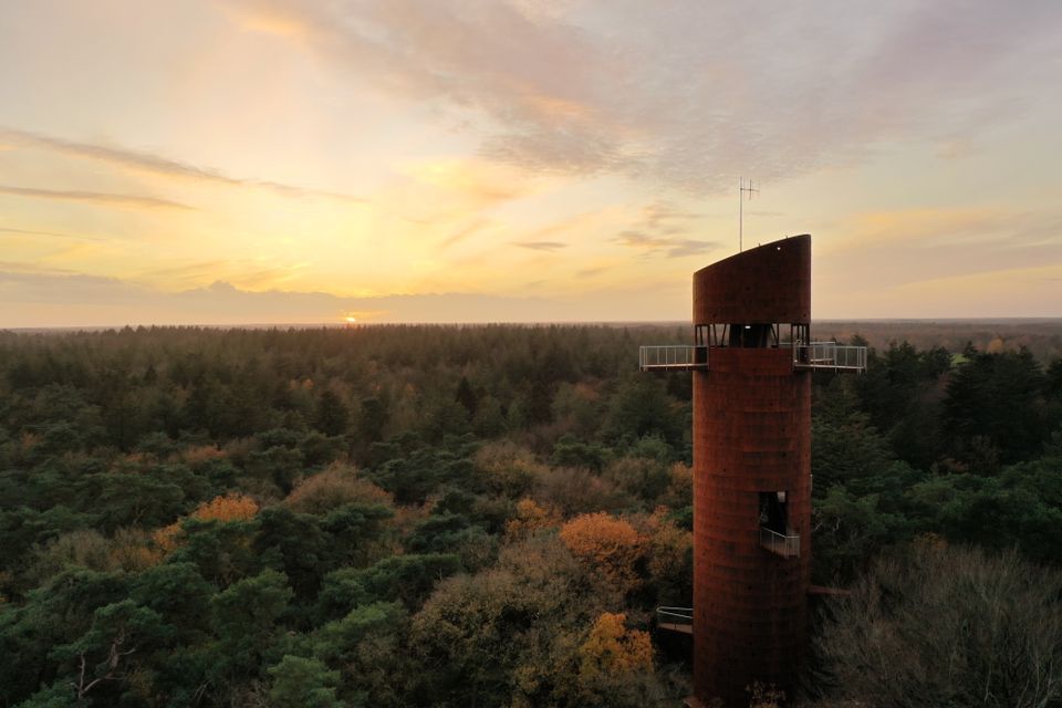 Uitkijktoren De Bosbergtoren torent hoog boven de boomtoppen van het Drents-Friese Wold uit.