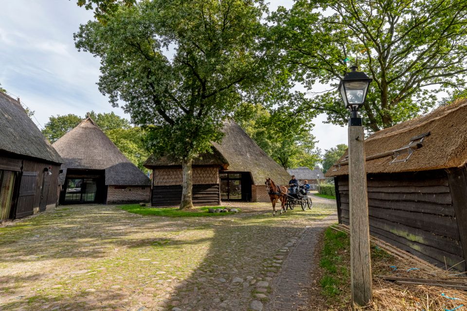 Een paard en wagen rijdt in Orvelte tussen de boerderijen door.