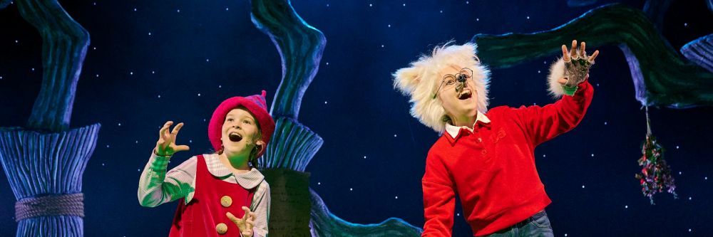 Dolfje Weerwolfje en Foeksia de Miniheks (5+) - Rep Entertainment