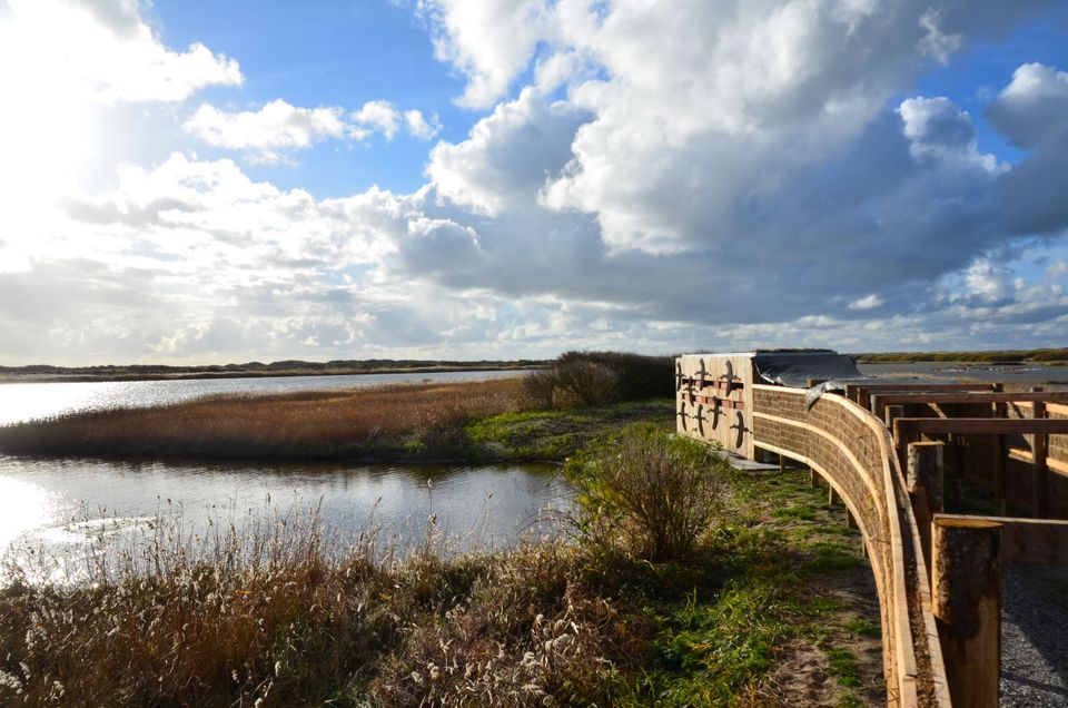 Vogelkijkhut Kroonspolder (klein)