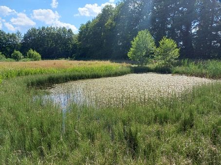 IVN/KNNV Excursie | Venevertlosebeek