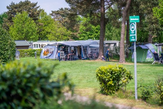 Campsite de Hondsrug