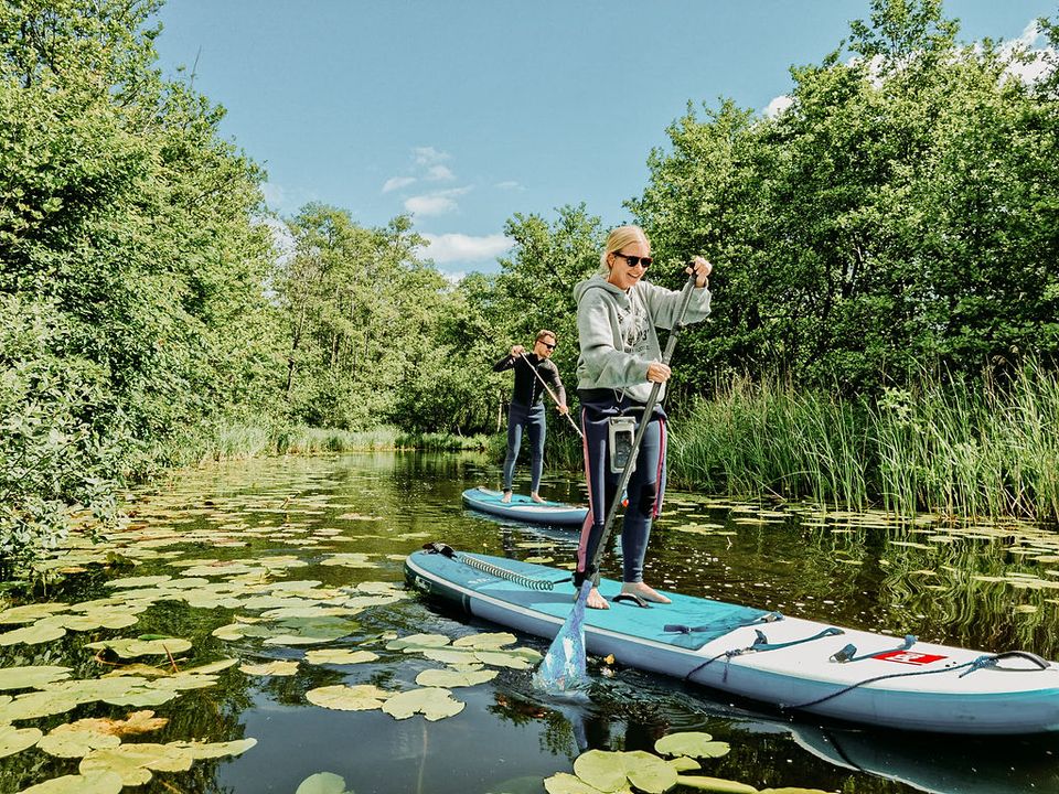 Twee suppers op de Kortenhoefse Plassen tussen een hele hoop waterlelies.