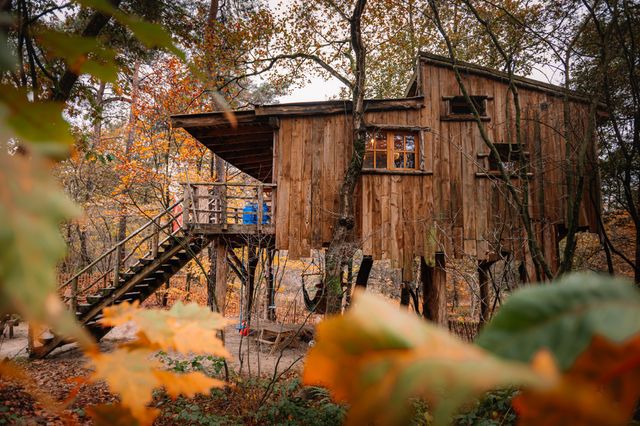 Boomhut Camping Diever  buitenkant