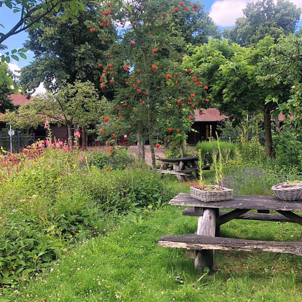 Park Transwijk - Vera Diepeveen