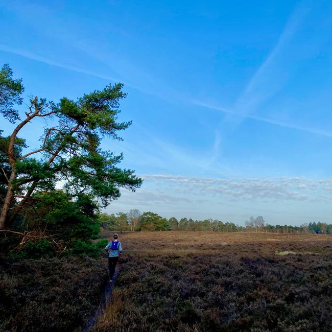 Veluwse Ultra Trail