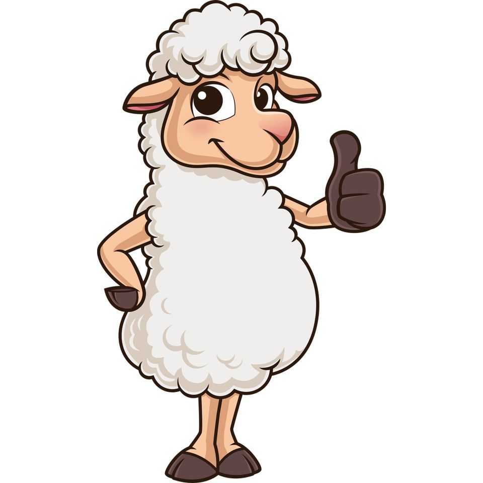 schaap wol