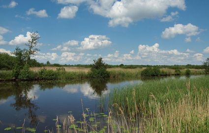 Het landschap van de Lindevallei. Aan de rand van Friesland, Drenthe en Overijssel.