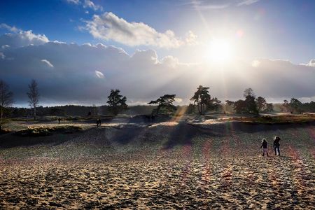 Natuurgebieden en Landschappen Amersfoort - Soesterduinen