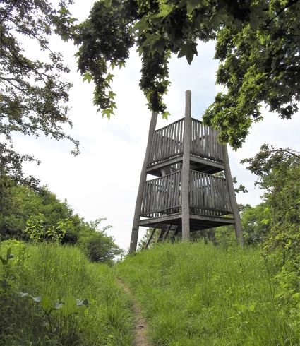 Public walk Het Moorselen Keelgras Lieshout - Mariahout