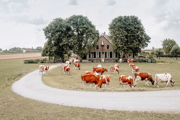 Slapen in een boerderij