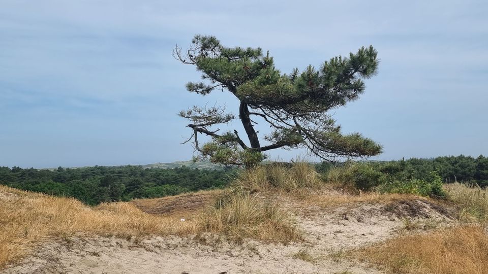 Zeeden