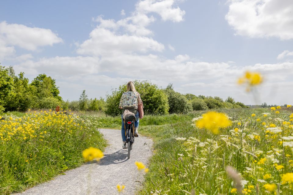 Fietsen in Terherne