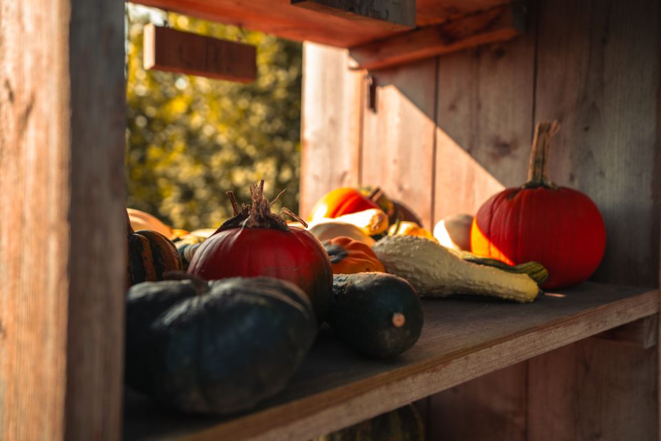 Herfst in Lelystad: pompoenen bij Boerderij van Stee
