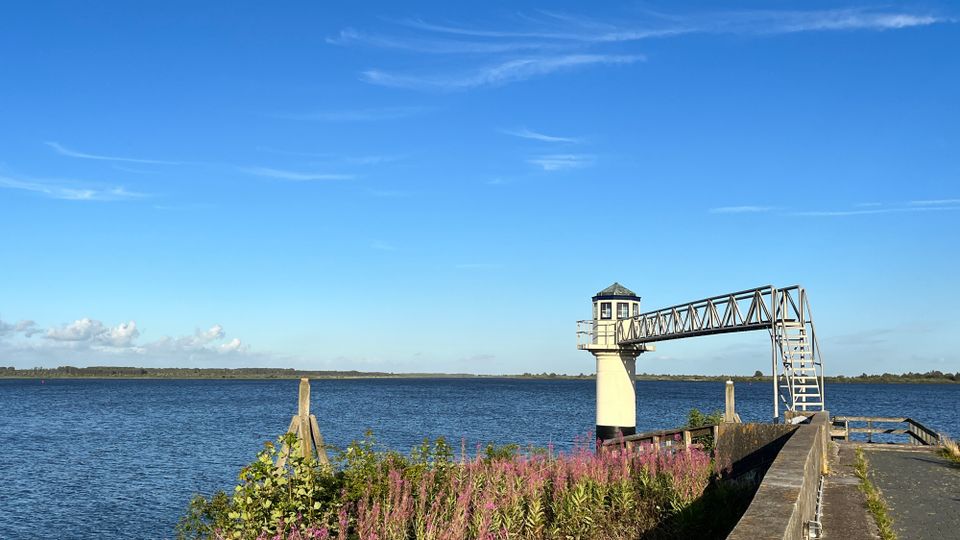 Vogels spotten langs Nationaal Park Lauwersmeer
