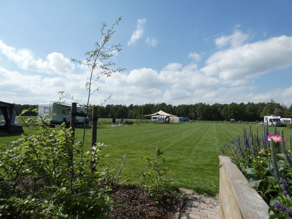 Royale campingplaatsen op  Dennenburg Lage Mierde
