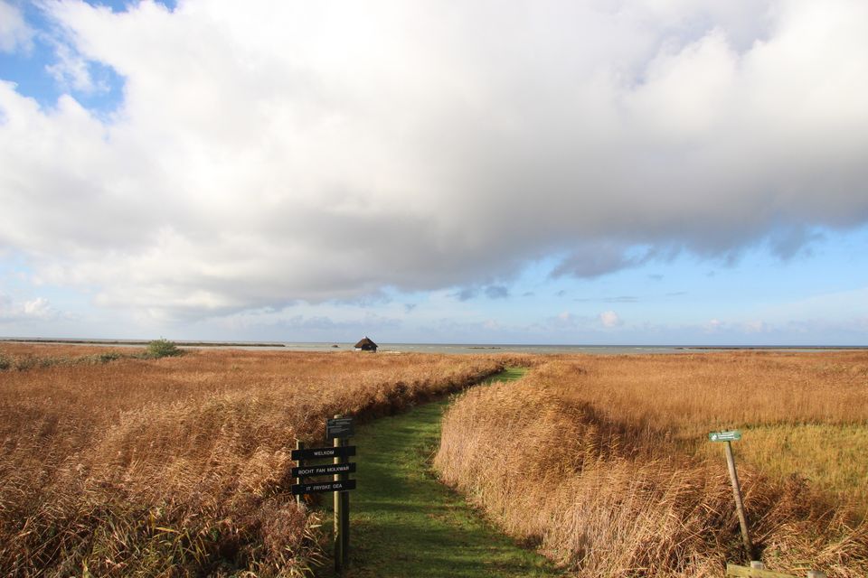 de bocht van molkwar