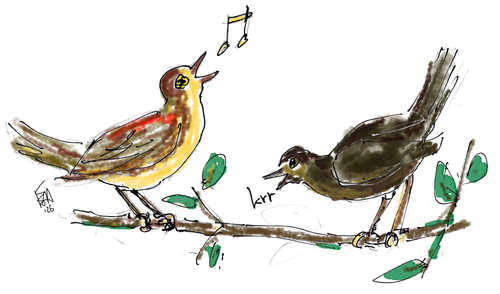 Twee getekende vogeltjes