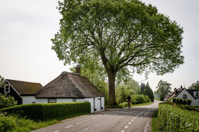 Straat voor wormenkwekerij The Dutch Nightcrawlers