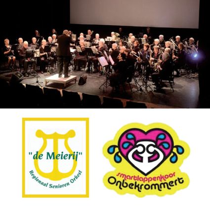 Foto van het concert tijdens een optreden.