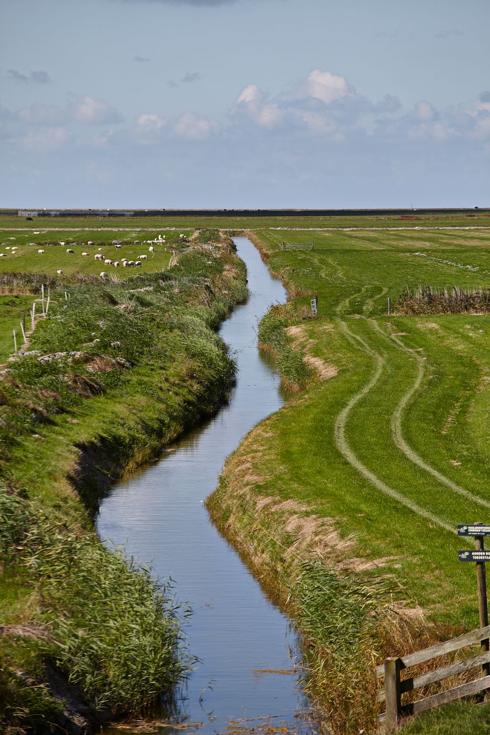 Landschap vanaf oude zeedijk