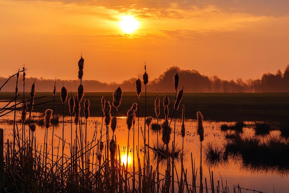 Kleurrijke hemel bij Beleven Reusel
