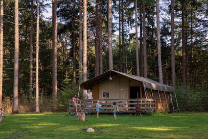Gezin staat bij huisje op de camping midden in het bos.