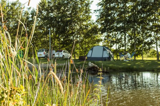 camping park De Toffe Peer photo 2